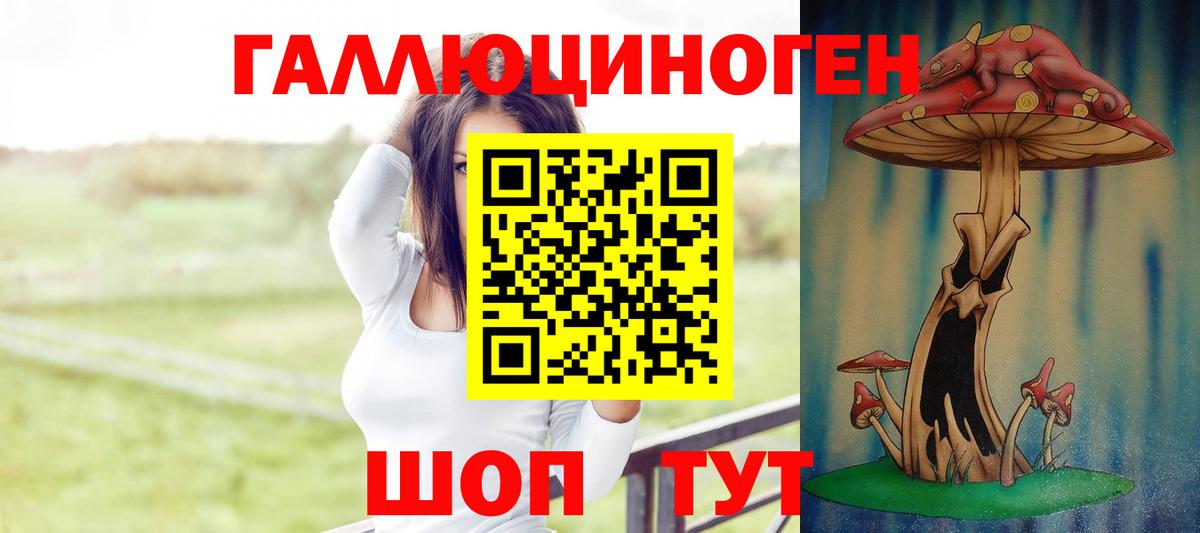 Псилоцибиновые грибы Cubensis Волгодонск